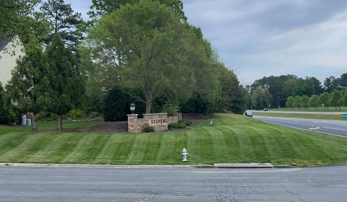 Gavin Gallavan landscaping work